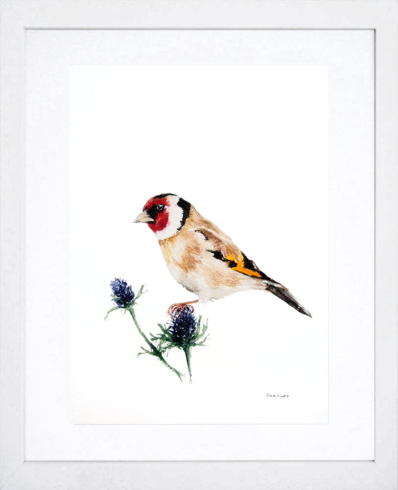 Animals Bird - Goldfinch White Frame