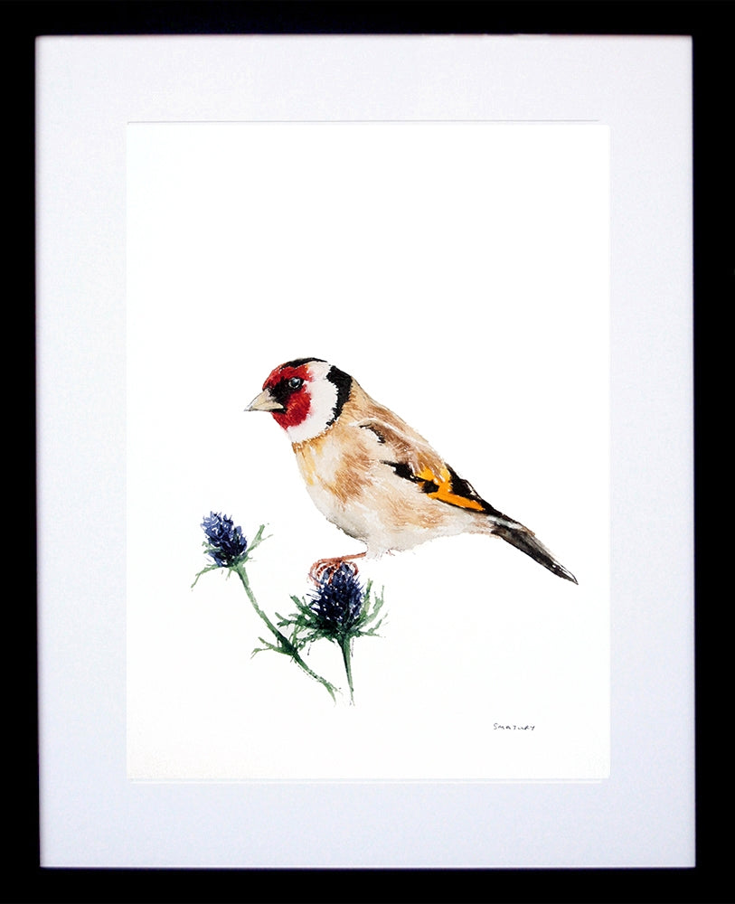 Animals Bird - Goldfinch Black Frame