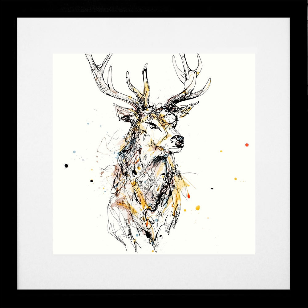 Print Open Edition Animals - Grand II-30 x 30-Black Box Frame (With Mount)