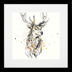 Print Open Edition Animals - Grand II-30 x 30-Black Box Frame (With Mount)