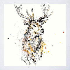 Print Open Edition Animals - Grand II-30 x 30-White Box Frame (No Mount)