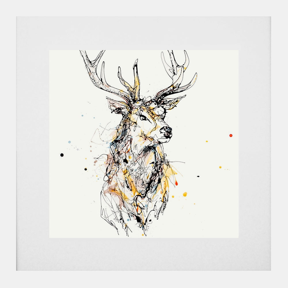 Print Open Edition Animals - Grand II-30 x 30-White Box Frame (With Mount)