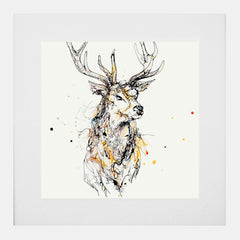 Print Open Edition Animals - Grand II-30 x 30-White Box Frame (With Mount)