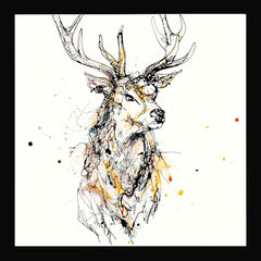 Print Open Edition Animals - Grand II-30 x 30-Black Box Frame (No Mount)