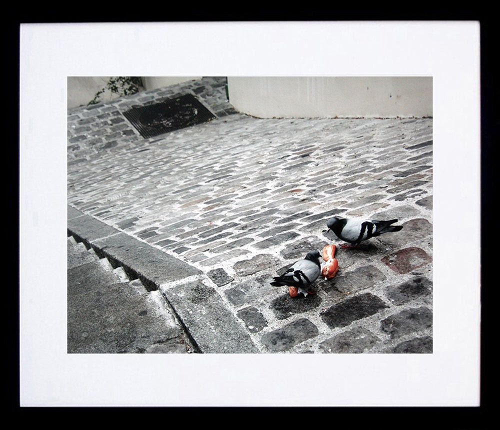 Paris In Grey - Cobblestones And Pigeons Framed