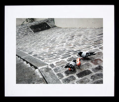 Paris In Grey - Cobblestones And Pigeons Framed