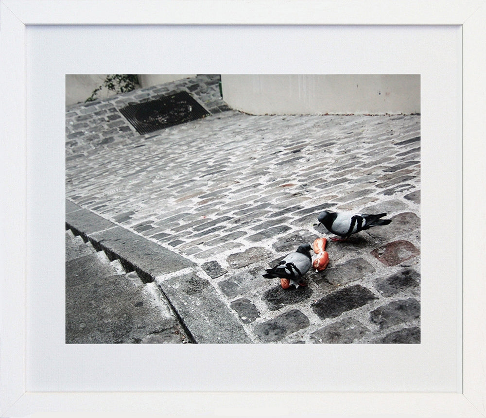 Paris In Grey - Cobblestones And Pigeons Frame White