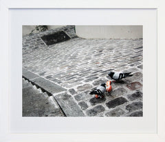 Paris In Grey - Cobblestones And Pigeons Frame White