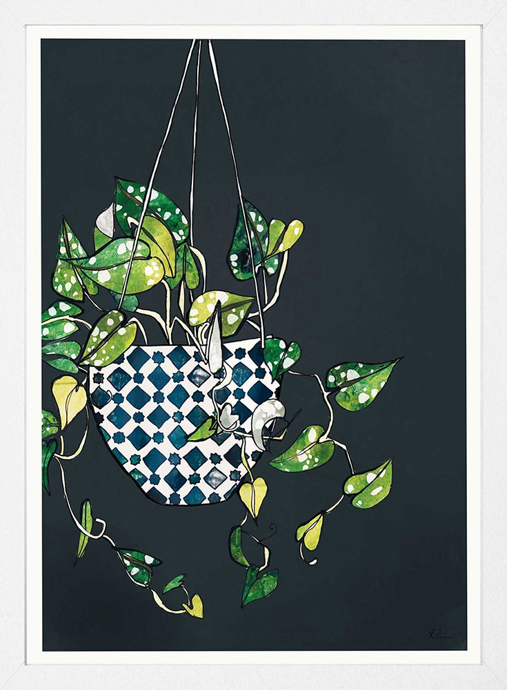 Hanging Plant White Frame