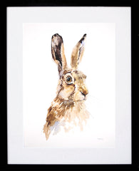 Print Animals - Autumn Hare-Available In One Size Only-Black Box Frame