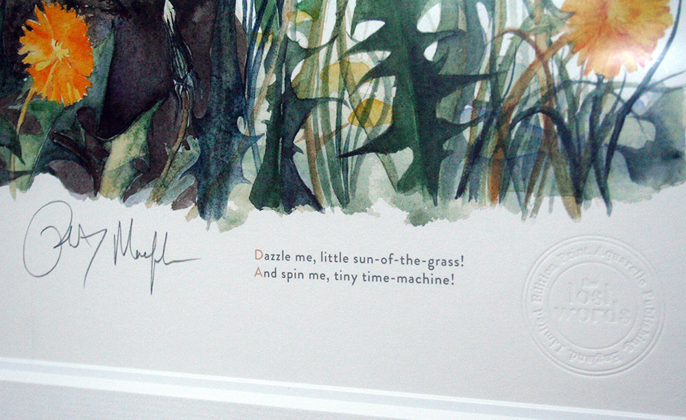 The Lost Words - Dandelion With Hare