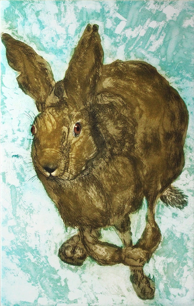 Hare In A Hurry