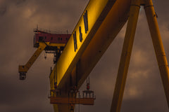 Goliath 1 H & W -51 x 41-Unframed