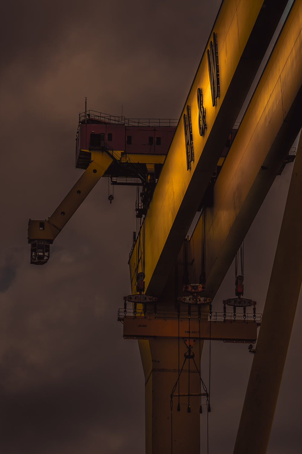 Goliath 2 H & W-41 x 30.5-Unframed