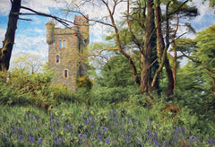 Co Down - Helen's Tower, Clandeboye