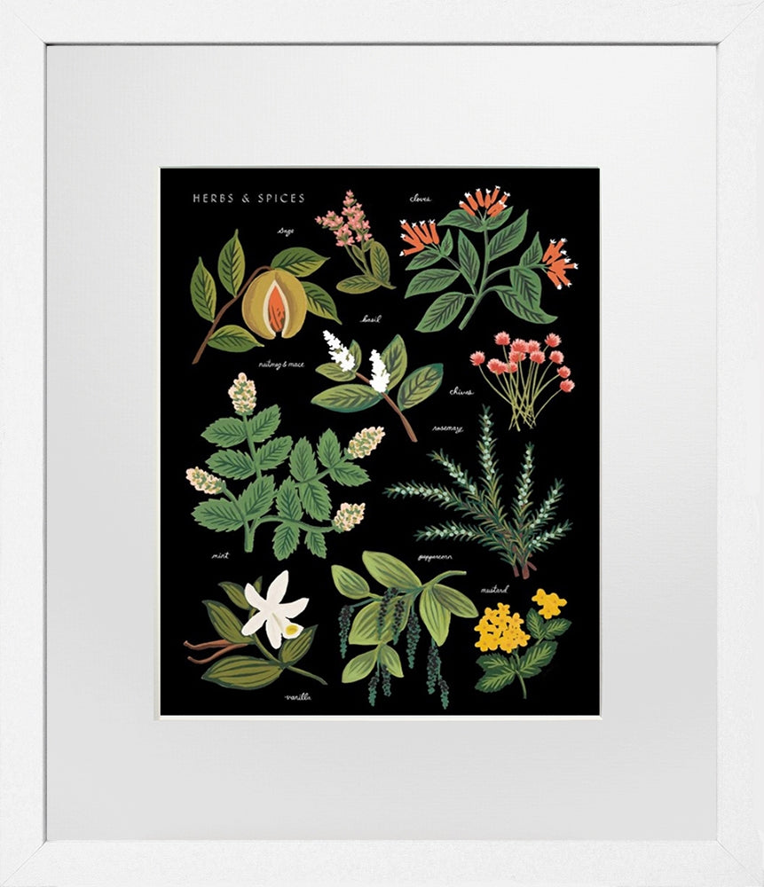 Herbs and Spices Charcoal White Frame