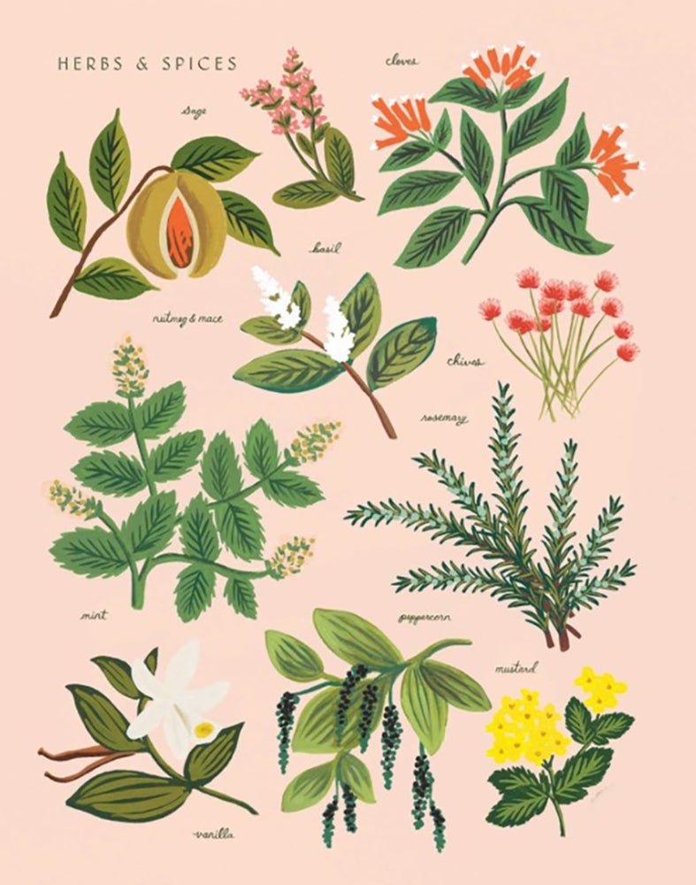 Herbs and Spices Peach