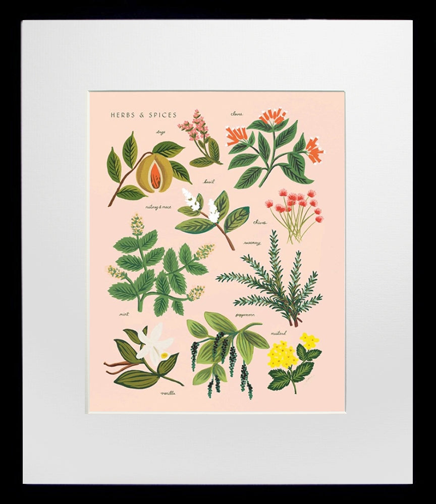 Herbs and Spices Peach Black Frame