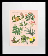 Herbs and Spices Peach Black Frame