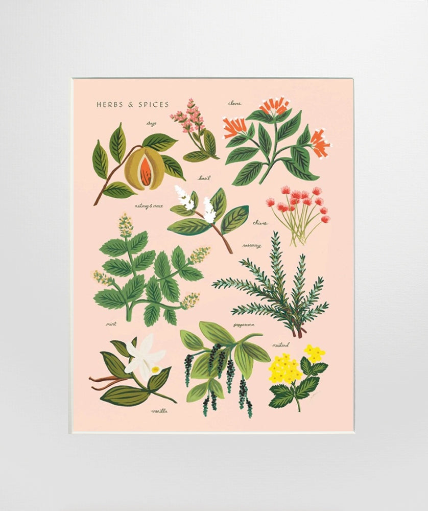 Herbs and Spices Peach Unframed