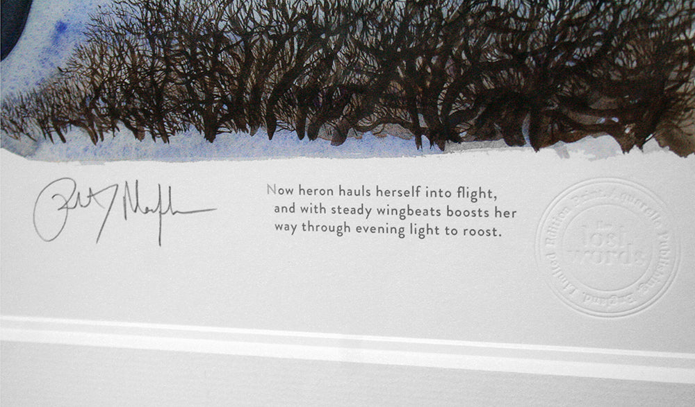 The Lost Words - Heron in Flight