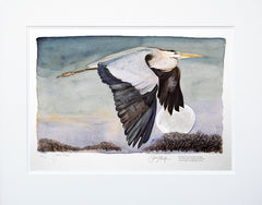 The Lost Words - Heron in Flight Unframed