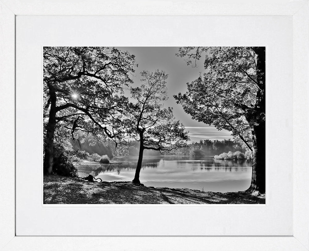 Down - Hillsborough Forest Park Frame White