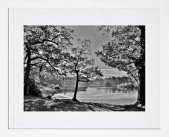 Down - Hillsborough Forest Park Frame White