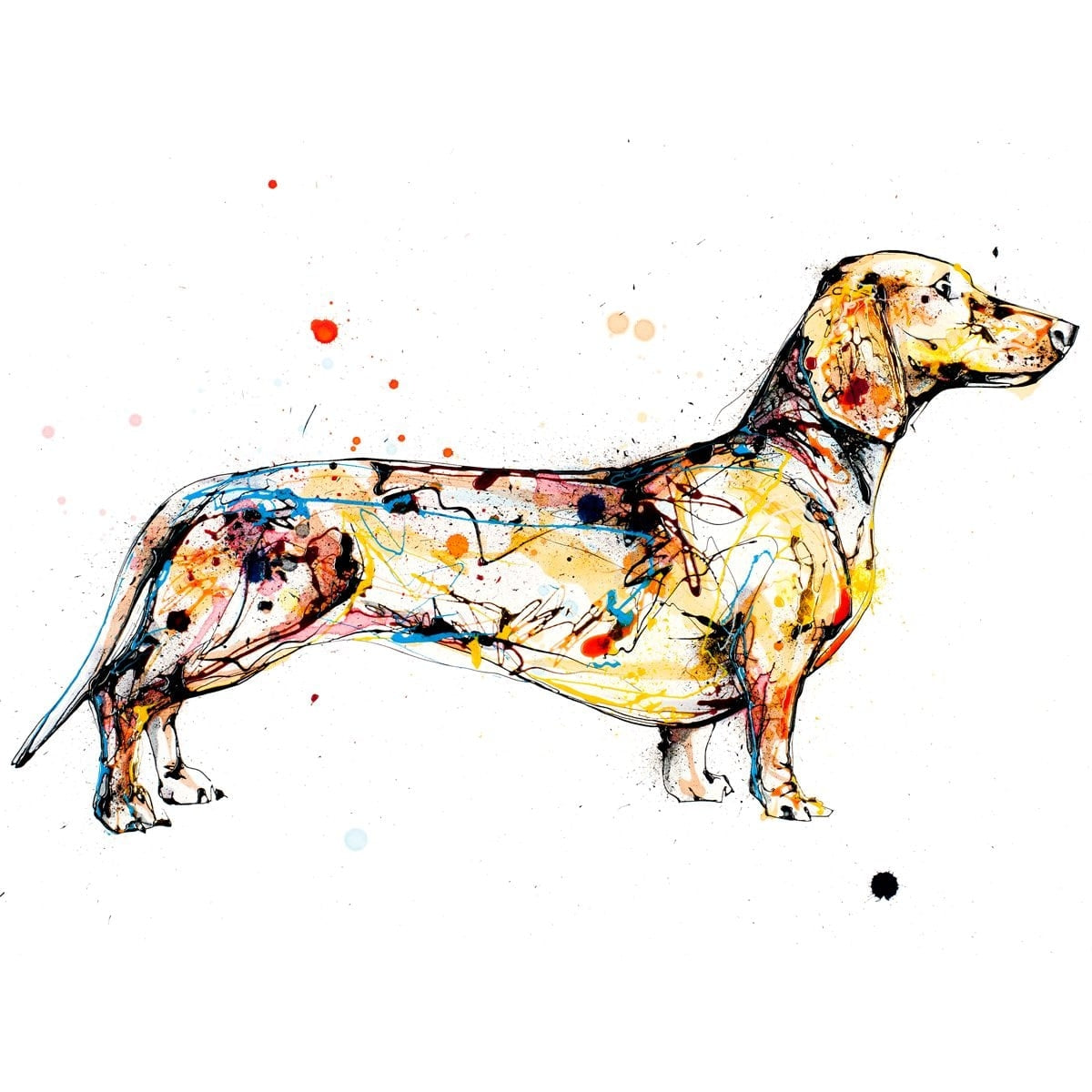 Print Open Edition Animals - Hopeful-30 x 30-Unframed