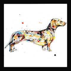Print Open Edition Animals - Hopeful-30 x 30-Black Box Frame (No Mount)