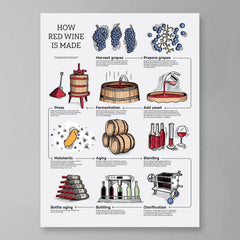 How Red Wine Is Made