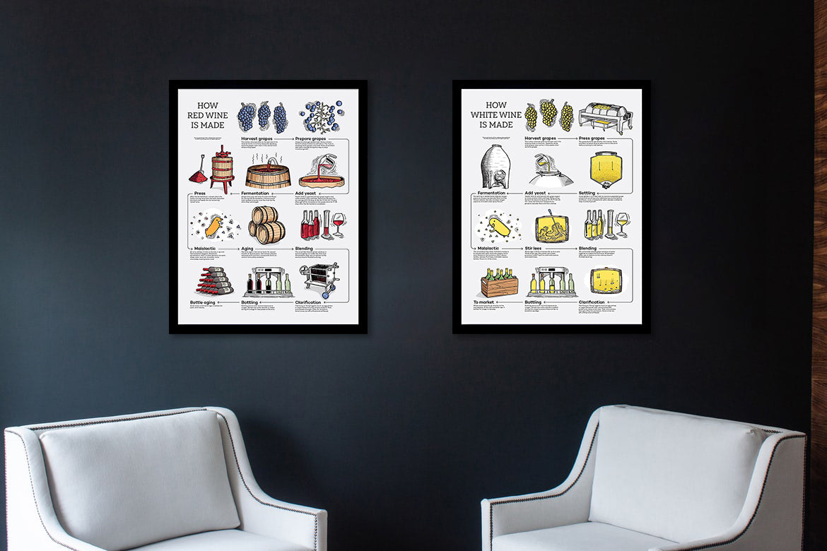 How Red Wine Is Made