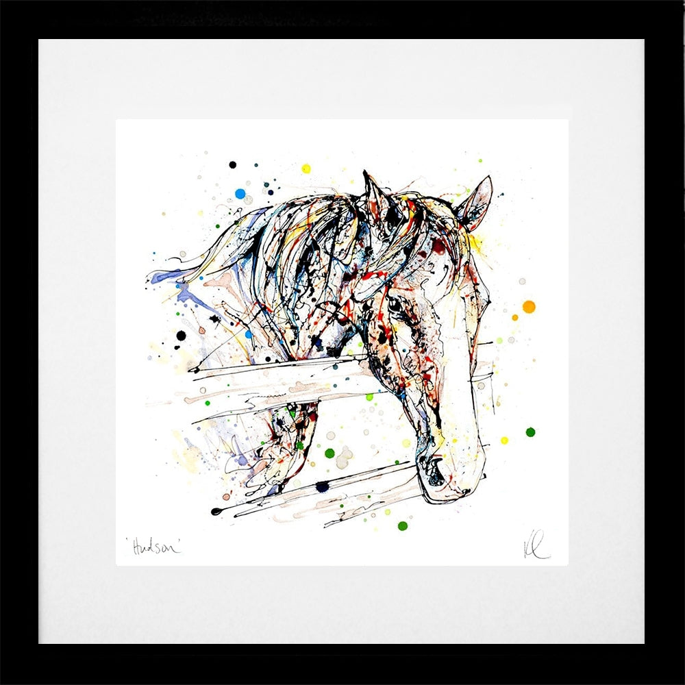 Print Open Edition Animals - Hudson-30 x 30-Black Box Frame (With Mount)
