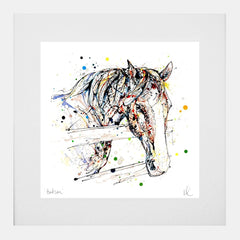 Print Open Edition Animals - Hudson-30 x 30-White Box Frame (With Mount)