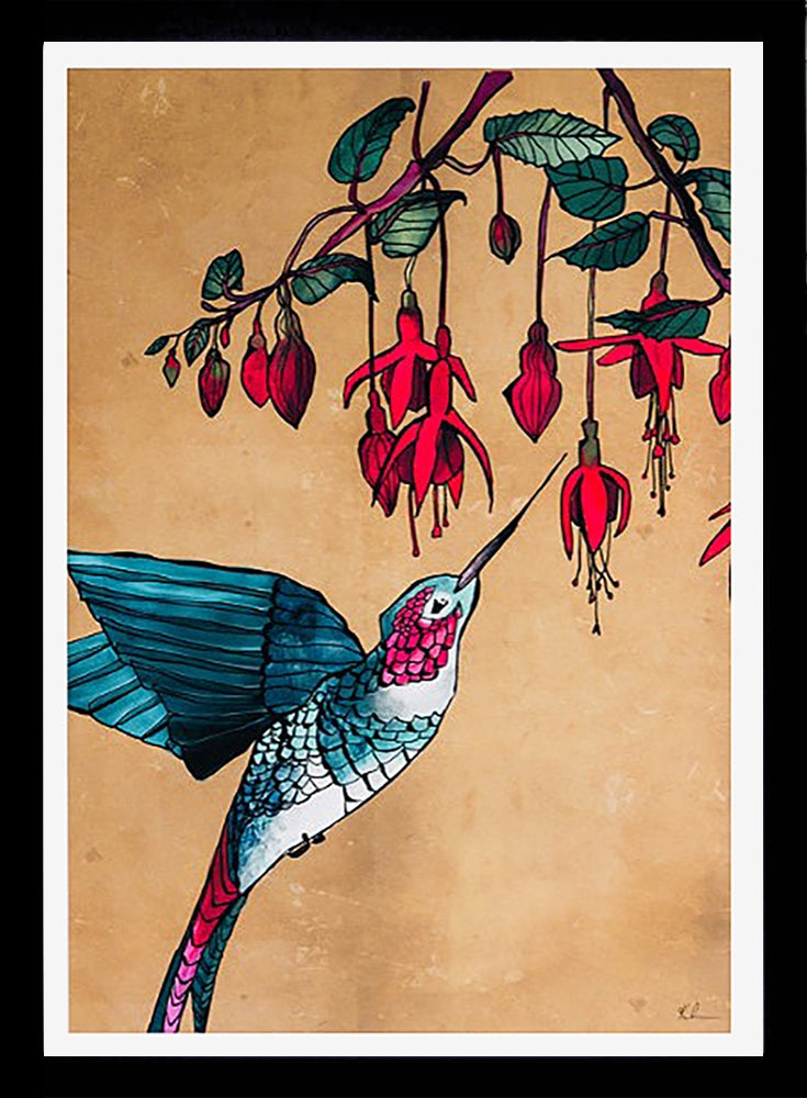 Hummingbird-33 x 55.5-Black Box Frame (No Mount)