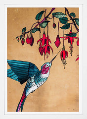 Hummingbird-33 x 55.5-White Box Frame (No Mount)