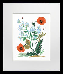 Iceland Poppy Black Frame