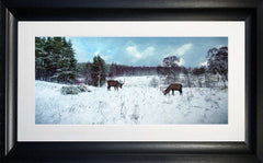 Other - In Winter's Silence Chunky Black Frame