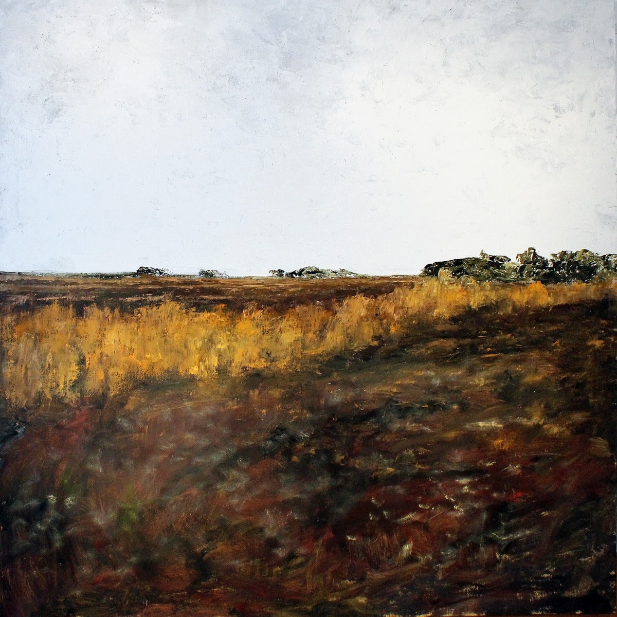 Into The Moss, Bellaghy Bog