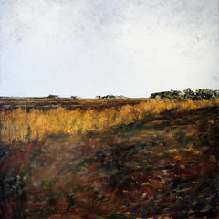 Into The Moss, Bellaghy Bog