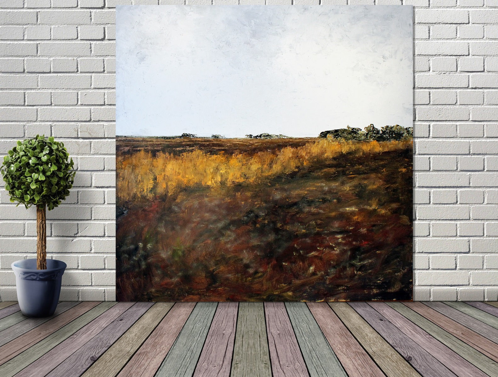 Into The Moss, Bellaghy Bog