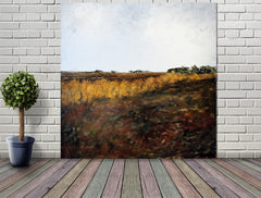 Into The Moss, Bellaghy Bog