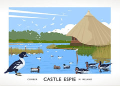 Co Down - Castle Espie Unframed 40x30