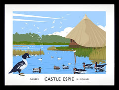 Co Down - Castle Espie Frame Black 40x30 No Mount