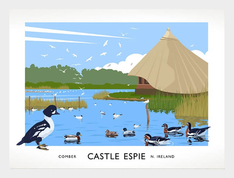 Co Down - Castle Espie Frame White 40x30 No Mount