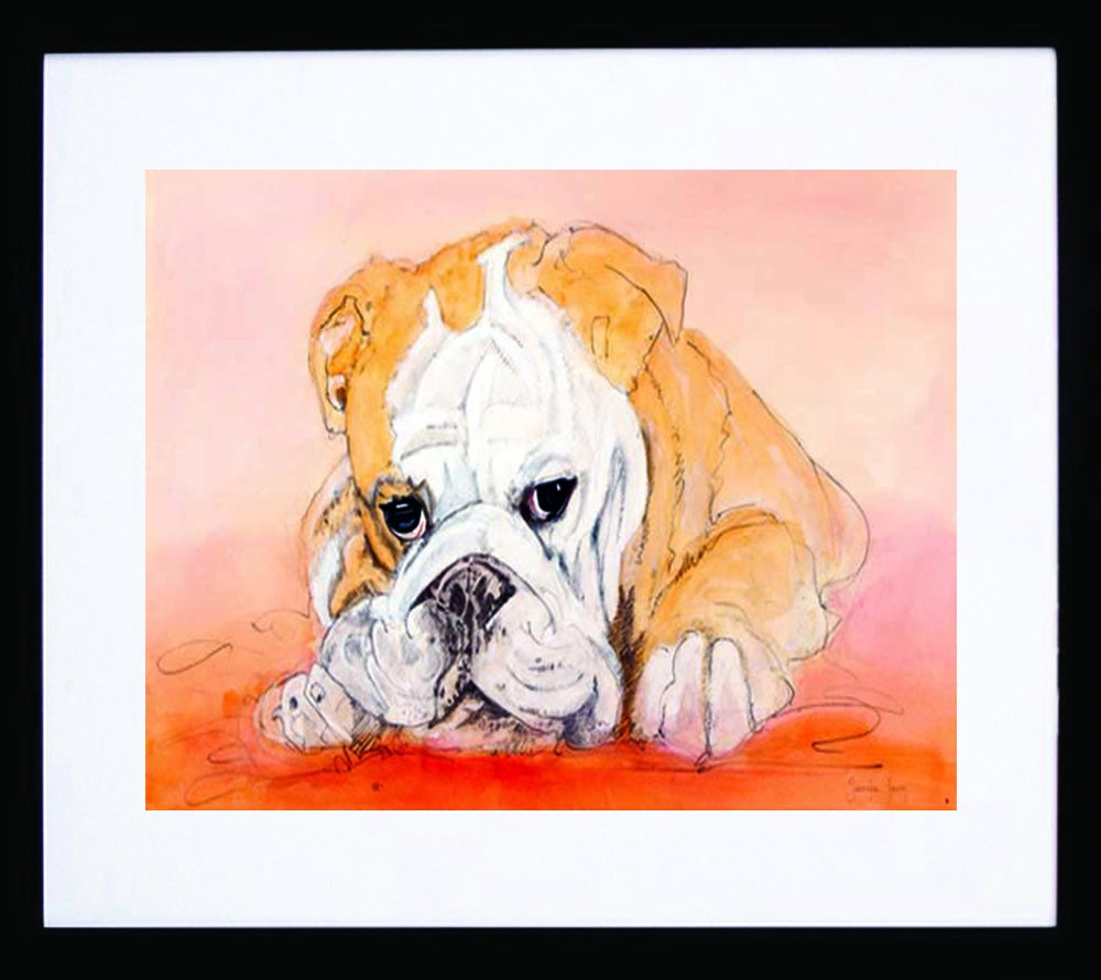 Bull Dog Frame Black