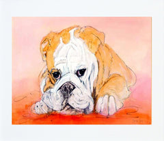 Bull Dog Unframed