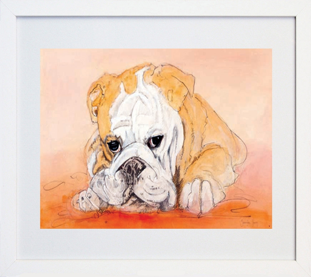 Bull Dog White Frame
