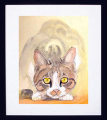 Cat Frame Black