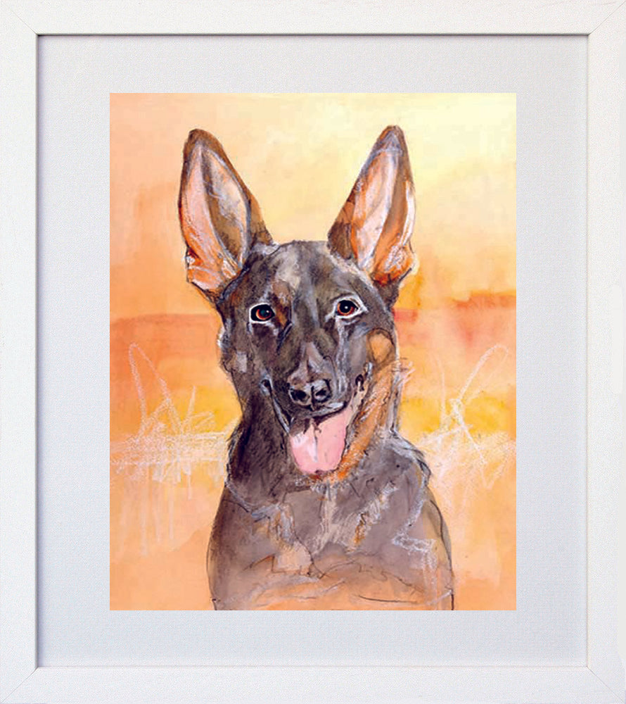 German Shepherd White